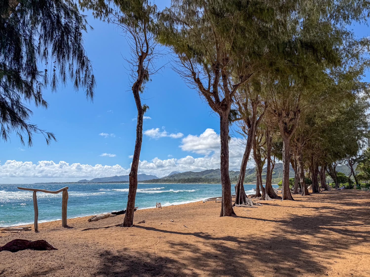 Beachfront view near Lava Lava Beach Club in Kapa'a on Kauai's East Coast