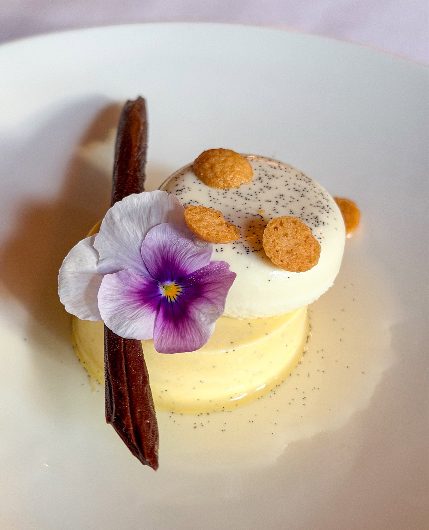 A Study of Vanilla dessert at Circa 1886 Restaurant in Charleston, South Carolina