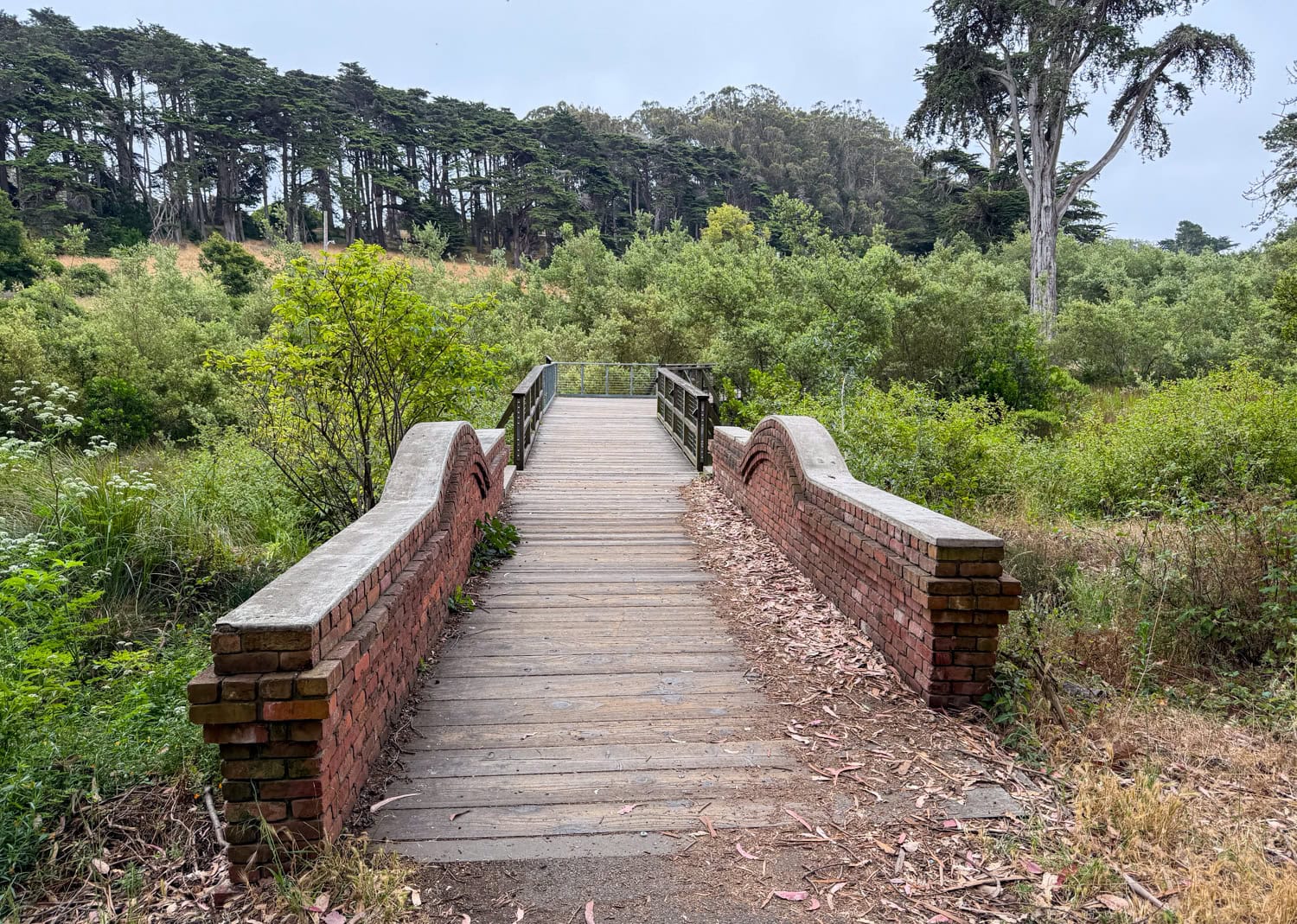 Brick and wooden bridge along Lovers' Lane in the Presidio of San Francisco