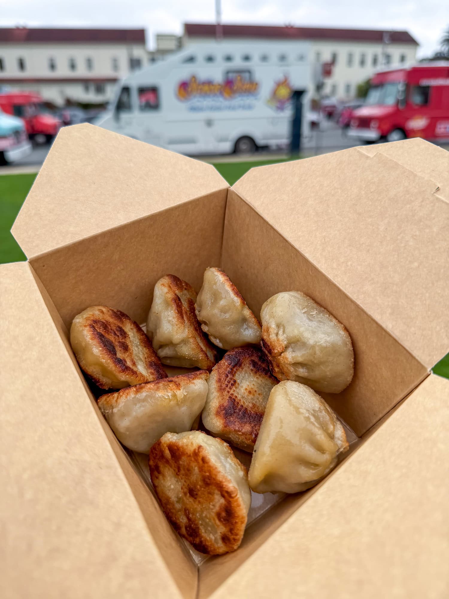 Kothay chicken dumplings from the Momolicious food truck at the Presidio