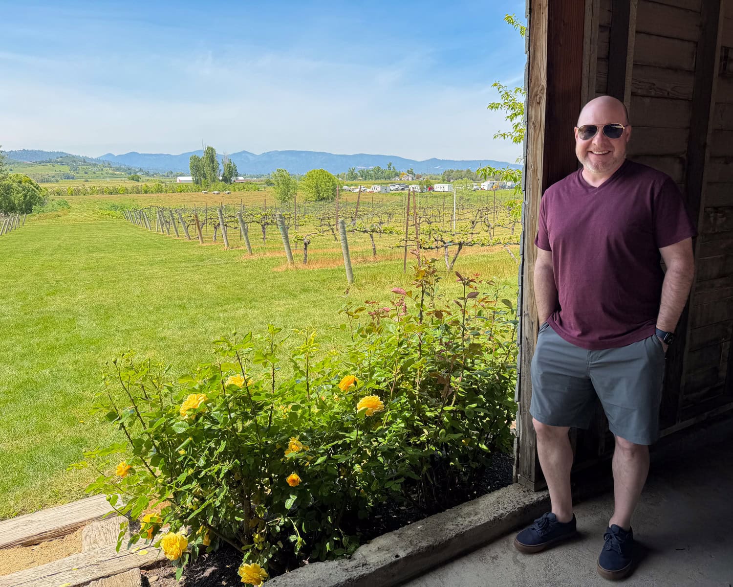 Dave beside yellow roses on the covered patio at Edenvale Winery