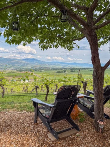 View of Rogue Valley from Ravissant Cellars in Oregon